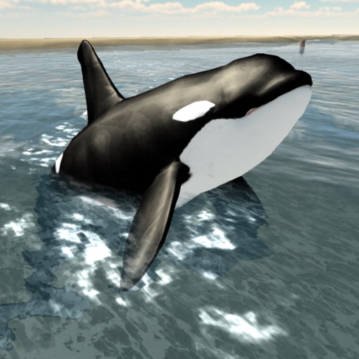 Orca Whale Simulator Icon