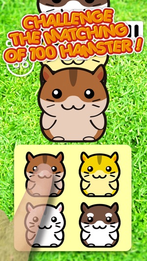 Hamster 100 Adorable Pet Friends(圖2)-速報App