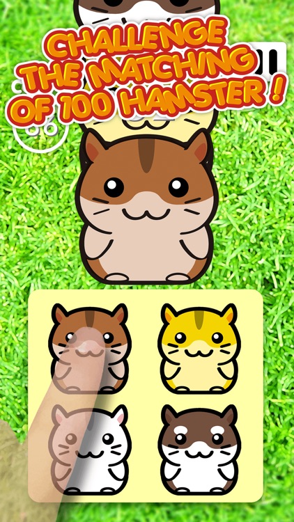 Hamster Land - Cute Pets Hamsters Column Matches Up Games