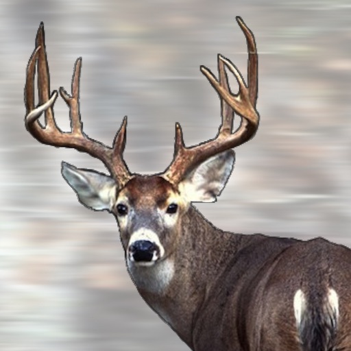 Ron Spomer's Everything Whitetail