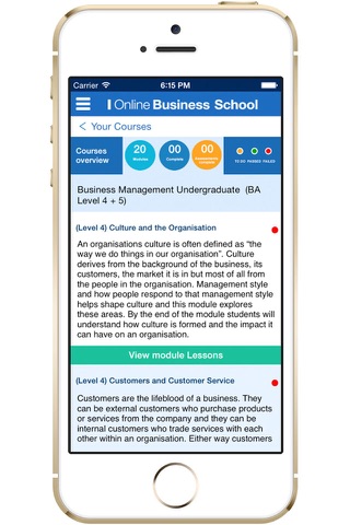 Online Business School screenshot 4
