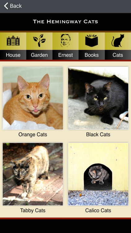 Hemingway Home App