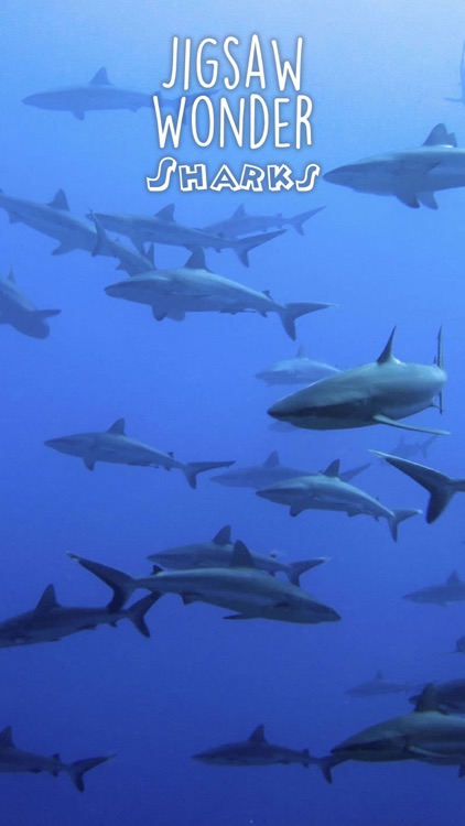 Shark Puzzles for Kids Jigsaw Wonder Collection