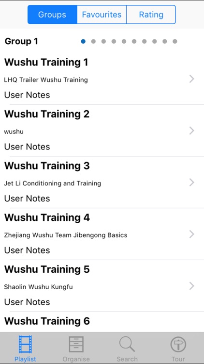 Wushu Training