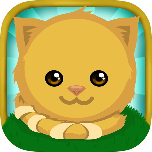 Roll Kitty Roll iOS App