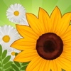 Flower Match Mania PRO - Full Floral Arrangement Puzzle Blitz Version