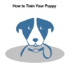 All about How to Train Your Puppy