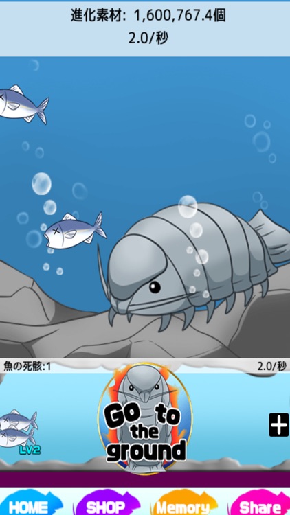 Giant Isopod Evolution