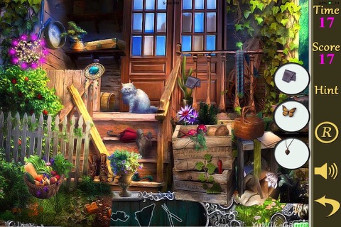 Hidden Objects Of A Family Backyard screenshot 2