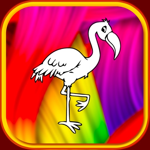 pink flamingo coloring book bird show for kid iOS App