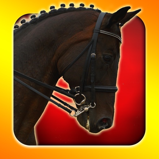 Playtime Stallion iOS App
