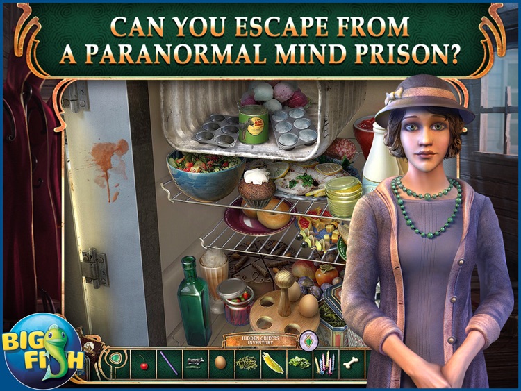 The Agency of Anomalies: Mind Invasion HD - A Hidden Object Adventure