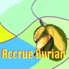 Accrue Durian