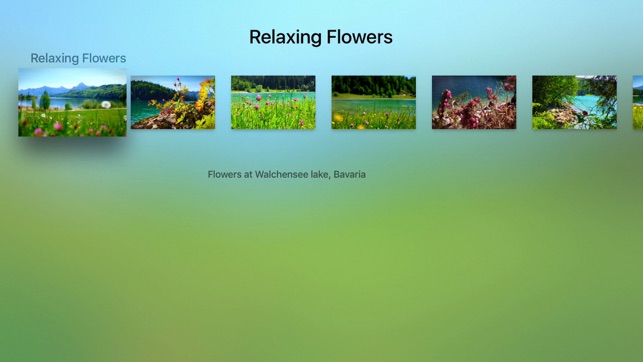 Relaxing Flowers & Meadows - Ambient Nature Wellness Yoga Vi(圖5)-速報App