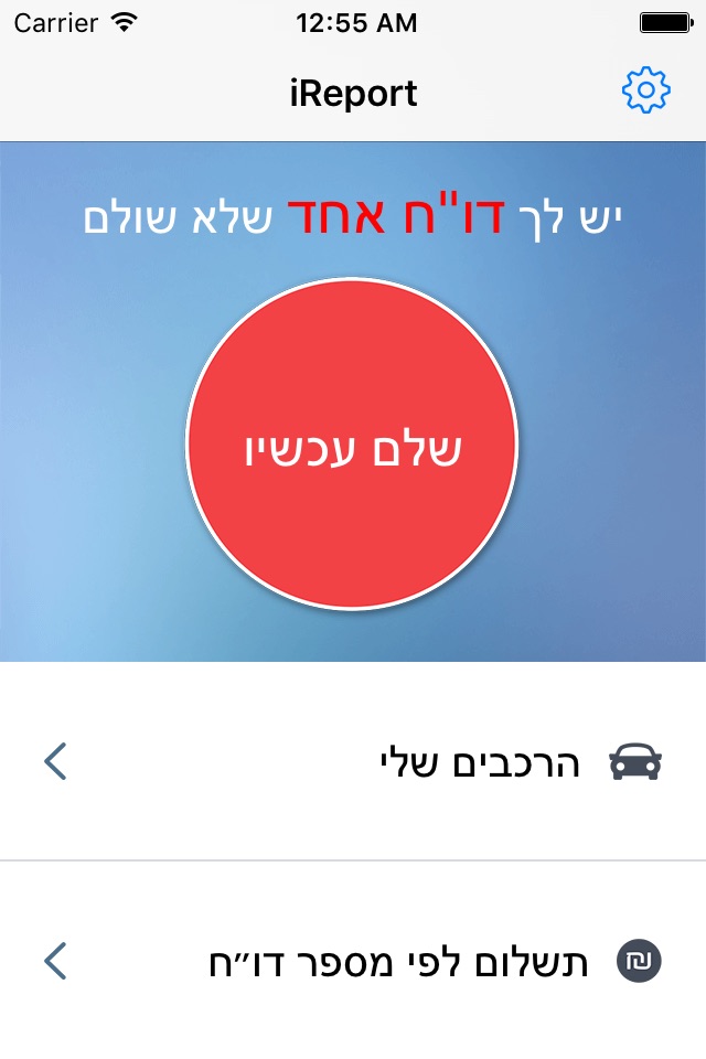 iReport - איירפורט - לא דוחים דו״חות screenshot 3