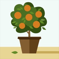 Flower Growing PC 용