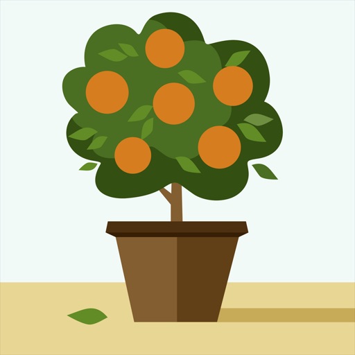 Flower Growing Icon