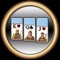 Solitaire+ for iPad