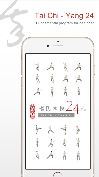 Tai Chi with Me - A video tool to help effective learning and memorizing screenshot-3