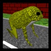 Highway Hop - Help the Frog Cross the Road