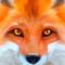 App Icon for Ultimate Fox Simulator App in Denmark IOS App Store