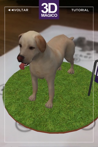 3D Mágico screenshot 4