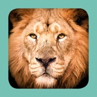 Top 40 Reference Apps Like Sasol Mammals for Beginners (Lite): Quick facts, photos and videos of 46 southern African mammals - Best Alternatives