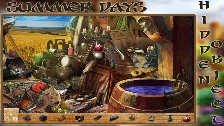 Summer Days Hidden Object