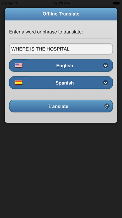 Offline Translate Screenshot 1
