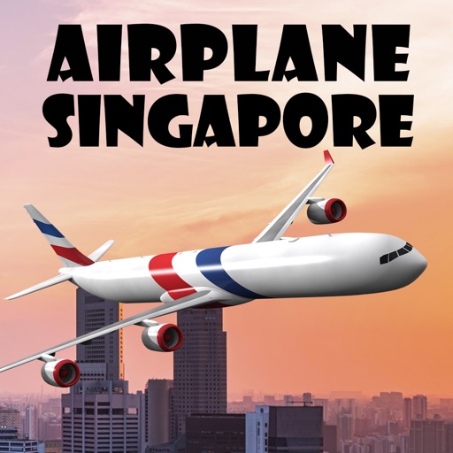 Airplane Singapore Icon