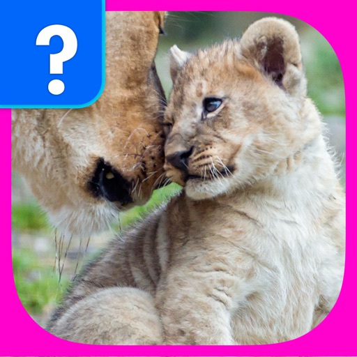 What’s The Baby Animal? - The Cutest Animal Picture Word Trivia Game for EVERYONE!