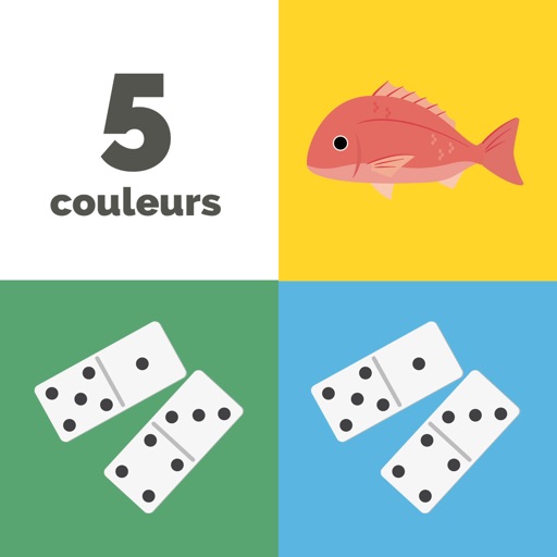 LE JEU DES CINQ COULEURS