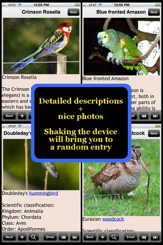 Birds Encyclopedia Plus+ screenshot 4