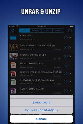 iDLoader Pro - File Manager & Files Transfer screenshot 4