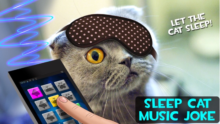 Sleep Cat Music Joke