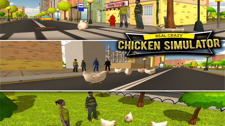 Crazy 3D Chicken Run Simulator