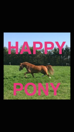 Happy Pony for iPhone by Horse Reader(圖1)-速報App