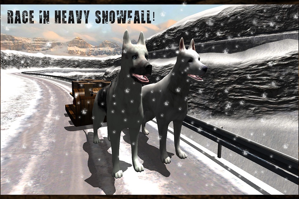 Winter Snow Dog Sledding Ski Simulator 3D screenshot 3