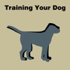 All about Training Your Dog