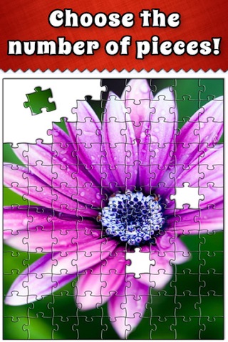 Jigsaw Puzzle Amazing 2016 HD - Fit Picture for Adults and Fun Jigsaws for Kids screenshot 4