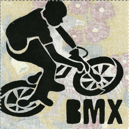 bmx for beginners