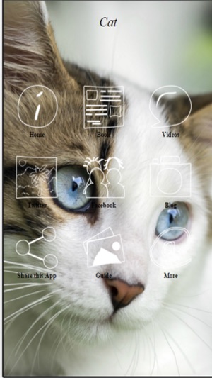 Cat Training - Learn How to Train and Care For Your Cat(圖1)-速報App