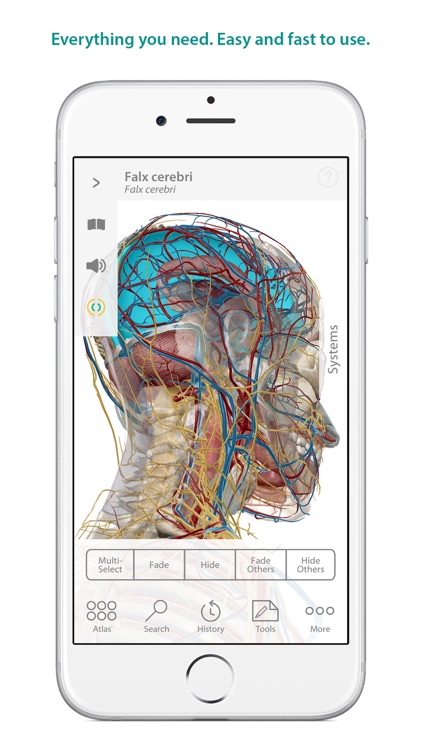 Human Anatomy Atlas – 3D Anatomical Model of the Human Body screenshot-0