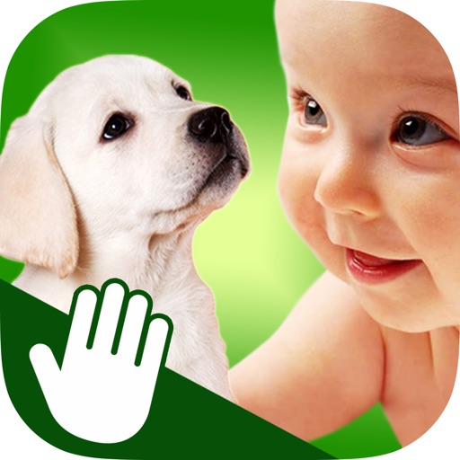 ASL Animals iOS App