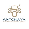 Antonaya