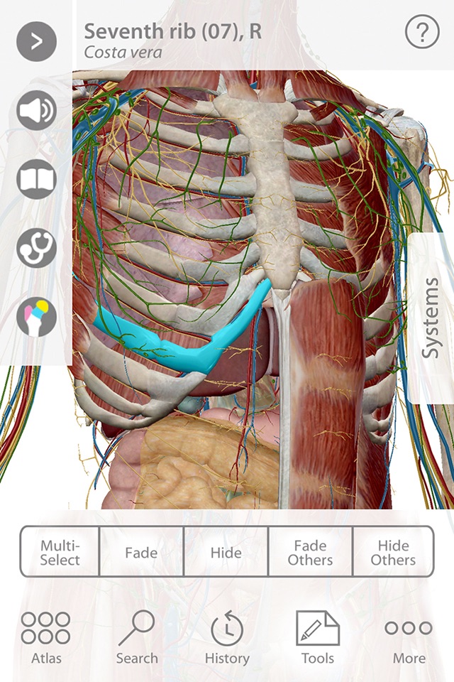 For Organizations - 2016 Human Anatomy Atlas screenshot 2
