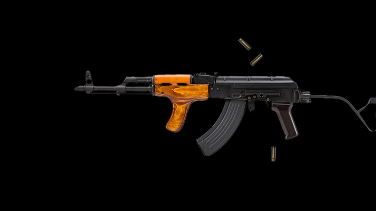 Rifle Gun Pro screenshot-3