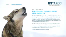 Game screenshot Iditarod® Channel hack