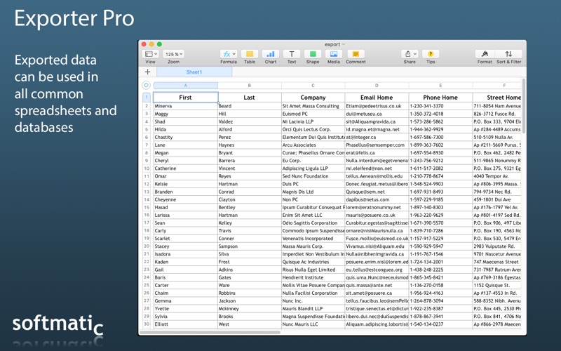 Exporter Pro Screenshot