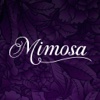 Liberty's Mimosa